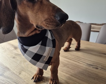 dog scarf