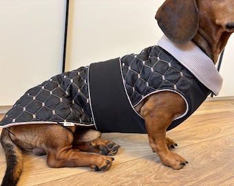 Könnte beinhalten: Ein Dackel trägt einen schwarzen Hundemantel mit geometrischem Muster. Der Mantel hat einen hellrosa Kragen und Besatz. Der Hund steht auf einem Holzboden.
