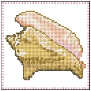 May include: A close-up of a seashell with a pink and white top and a beige bottom. The shell is detailed with intricate ridges and curves.