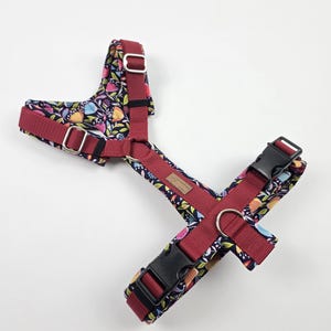 Dog harness flowers softshell harness