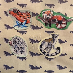 Bosstickerset (rode panda, aardbei pijlgifkikker, stekelvarken, ringstaartmaki)