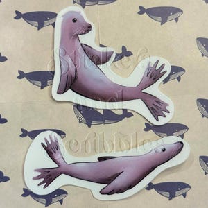 Seelöwe Set