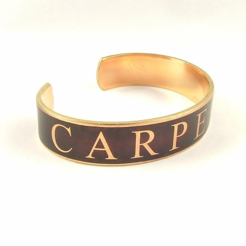Carpe Diem Bracelet Latin Quote Skinny Brass Cuff Seize The Day Literary Quote Motivational Bracelet image 4