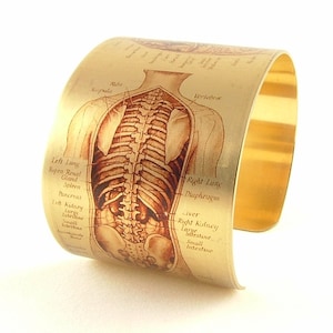 May include: A gold-toned metal cuff bracelet featuring a vintage anatomical illustration of the human torso, including the spine, ribs, lungs, and internal organs. The illustration is labelled with the names of the body parts in English.