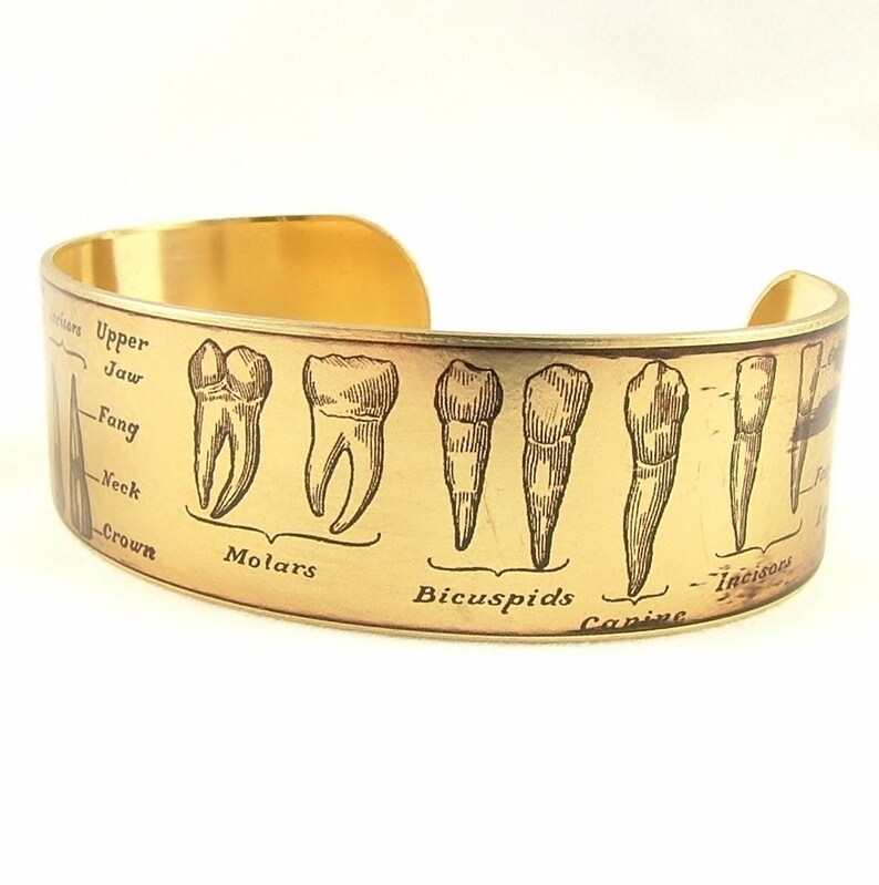 Anatomical Teeth Cuff Bracelet Tooth Jewellery Dentist Etsy