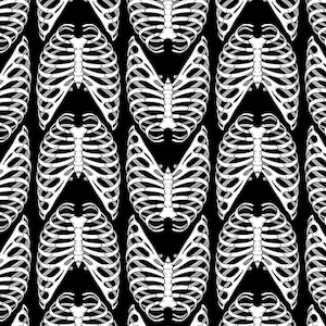 Scaredy Cat- Rib Bones- Black - 100% Cotton fabric - available in fq, half yard, and yardage