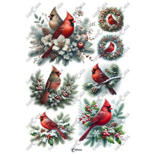 Bellissimi uccelli cardinali da scaricare digitalmente per decoupage - Formato A4 - Inverno - Scrapbooking #RP0005