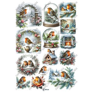 Illustrations d'oiseaux rouge-gorge d'hiver - téléchargement numérique pour découpage et scrapbooking # RP0049