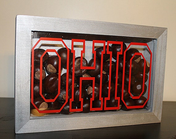 Ohio State Wall Decor Ohio