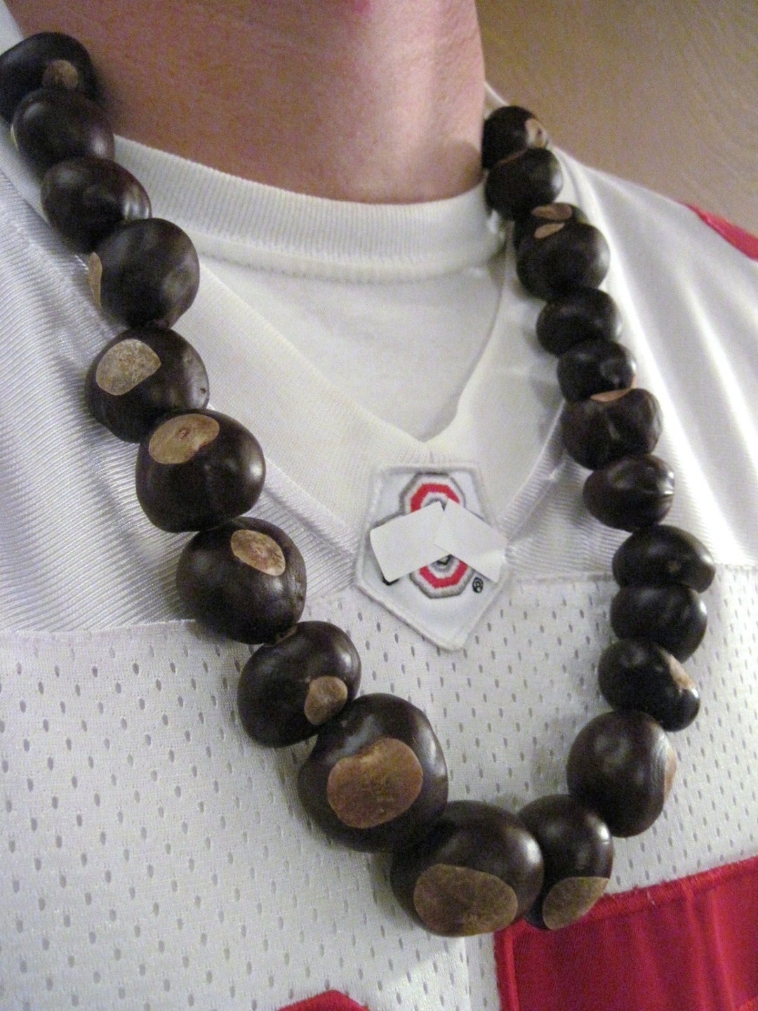Real Buckeyes Ohio Buckeye Necklace All Real OHIO Buckeyes - Etsy
