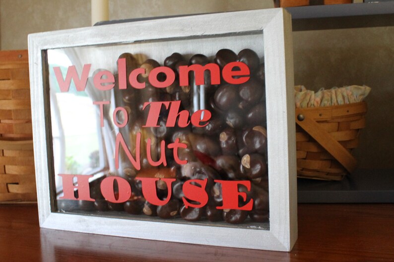 Ohio State Decor To the Nut House Shadow Box Etsy