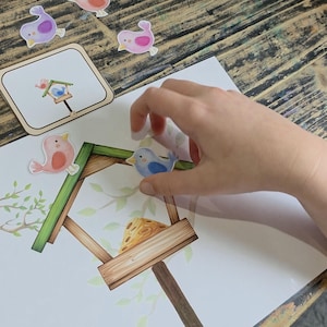 Puede incluir: Una mano colocando una pegatina de pájaro azul sobre un dibujo de una casa para pájaros. La imagen incluye varias pegatinas de pájaros de colores y un dibujo de una casa para pájaros con una cuña de queso. El fondo es una mesa de madera.