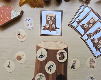 Jogo de Correspondência de Animais da Floresta para Imprimir | Atividade de Memória Visual | Jogo de Animais da Floresta para Educação Infantil | Atividade de Outono para Crianças