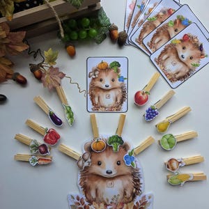 Op de afbeelding: Een set educatieve kaarten en houten wasknijpers met illustraties van een egel, diverse groenten en fruit. De kaarten tonen een egel met producten op zijn rug, terwijl de knijpers zijn versierd met individuele afbeeldingen van een appel, druiven, peer, ui, maïs, wortel, biet, paprika, aubergine en erwten.
