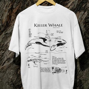 Killer Whale Shirt, Orca Whale t-shirt, Orca tee, animal graphic tshirt, killer whale anatomy shirt, retro animal tee, ocean animal shirts