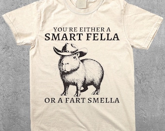 Smart Fella Capybara 90s Shirt, Funny Capybara Vintage T-shirt, Vintage 90s Shirt, Washed Shirt, Vintage Distressed Shirt, Funny Gift