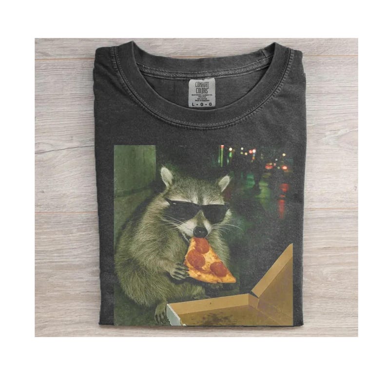 May include: Dark gray t-shirt featuring a raccoon wearing sunglasses and eating a slice of pizza. The graphic includes a pizza box and a blurred city background. The shirt has a Comfort Colors label.