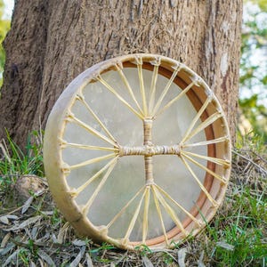 May include: A round, natural-toned drum with a light-colored skin and a woven design. The drum is set against a tree trunk and green grass, suggesting an outdoor setting. The drum's frame is a light brown color.