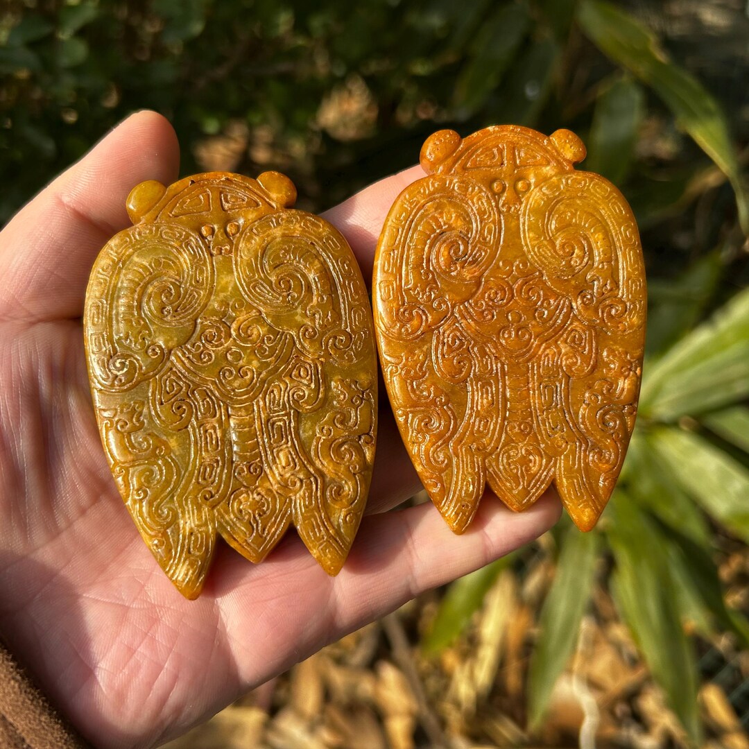 1pcs Natural Agate Cicada Pendant Jade Insect Necklace Unisex Carved ...