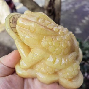 1 pic Natural yellow jade Money frog,fine  Feng Shui Fortune Coin Stone Crystal Healing Toad/ Frog /Chan Chu Sculpture Prosperity gift PL053
