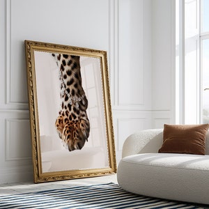May include: A close-up of a leopard's paw with a diamond necklace around it. The paw is in a gold frame and the background is a light pink.