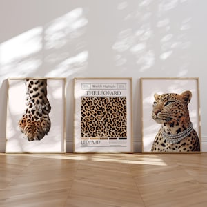May include: Three framed prints with a leopard theme. The left print shows a close-up of a leopard paw with a diamond necklace. The middle print features a leopard print pattern with the text "THE LEOPARD" and "LEOPARD (leopard)". The right print shows a leopard with a diamond necklace looking to the right.
