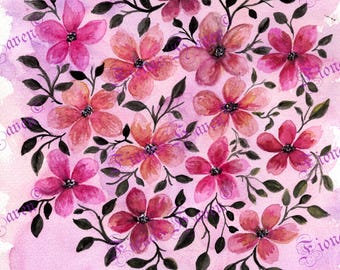 Pink Divine
