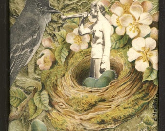 Bird Calls Original collage art