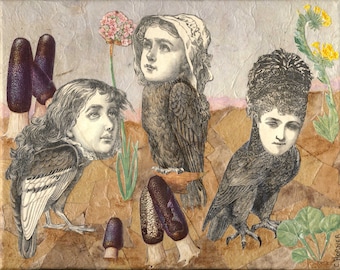 Birds Of Prey