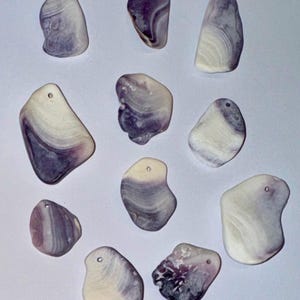 May include: A collection of 12 purple and white seashells with holes drilled in them. The shells are various shapes and sizes.