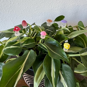 May include: A potted plant with green leaves and white stripes. There are six small, colorful mushroom-shaped plant markers in the pot.