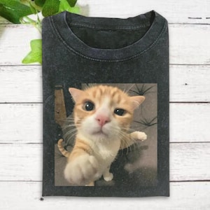Funny Cats Meme Shirt, Cute Cat Shirt, Gen Z Joke Shirt, Stupid Brainrot Shirt, Cat Lover Gift, Funny Kitty Shirt, Cool Cat Shirt