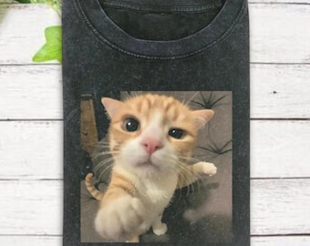Funny Cats Meme Shirt, Cute Cat Shirt, Gen Z Joke Shirt, Stupid Brainrot Shirt, Cat Lover Gift, Funny Kitty Shirt, Cool Cat Shirt