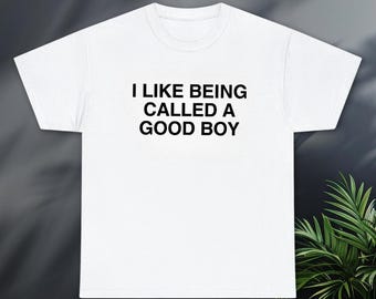 I Like Being Called A Good Boy T-Shirt, Funny Gen Z Tee, Brain Rot Humor Shirt, Sarcastic Shirt, Gift for Him, Trendy Gen Z Apparel