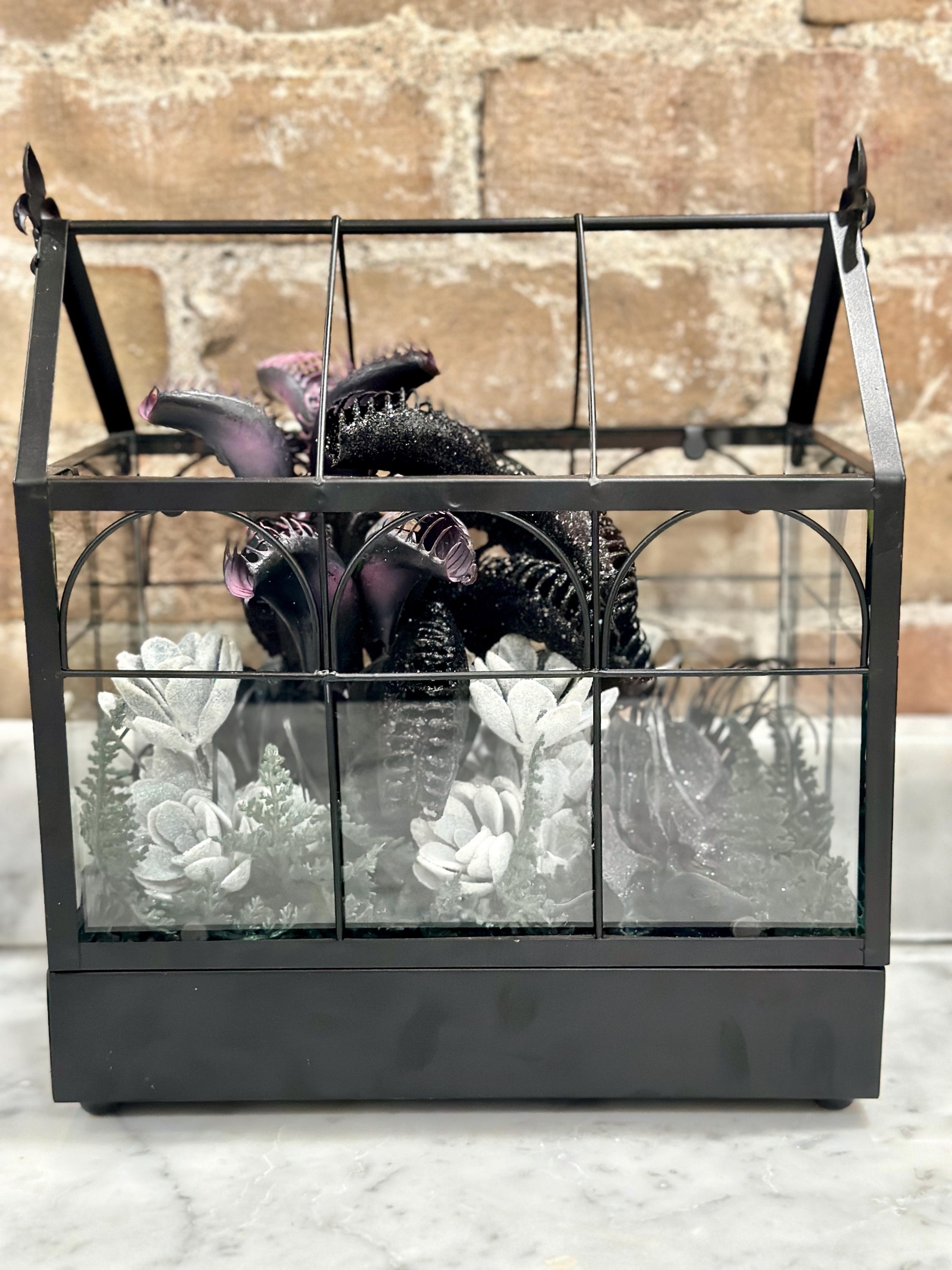 Gothic Black Greenhouse With Dark Plants - Etsy