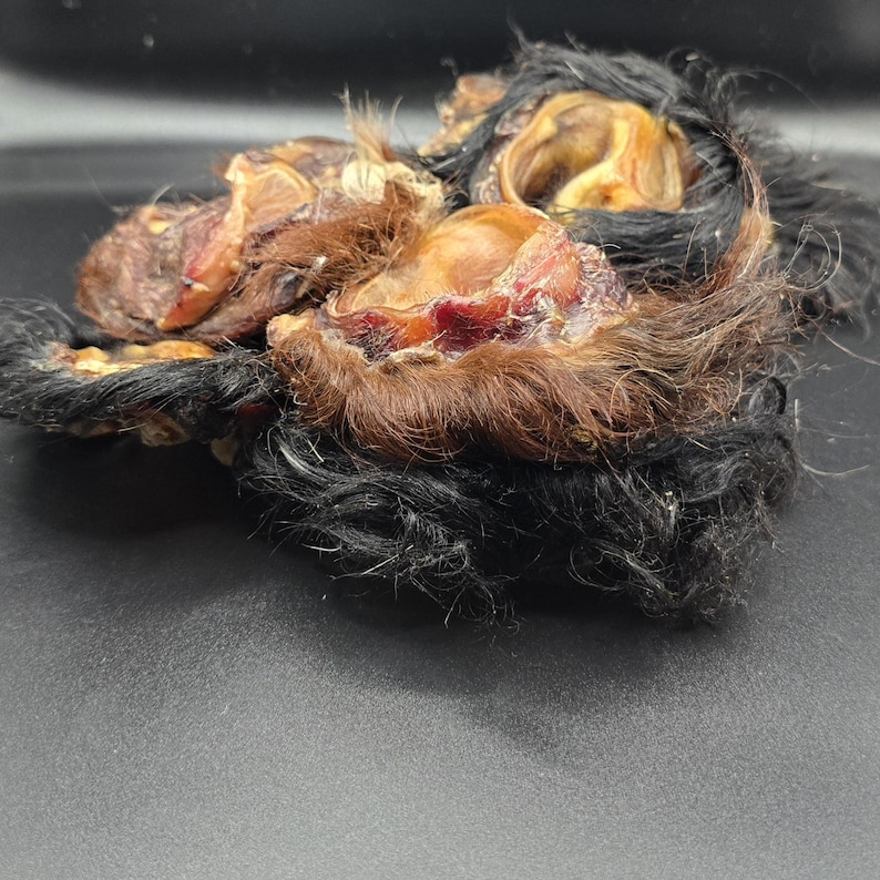May include: Close-up of several dried animal ears with fur. The ears are a mix of brown, black, and tan colors, with visible textures and details. The image is taken against a dark background.