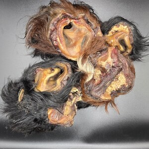 May include: A collection of dried animal ears with fur in shades of brown and black. The ears have a leathery texture and visible inner ear details. The arrangement is on a dark surface, with the ears overlapping.