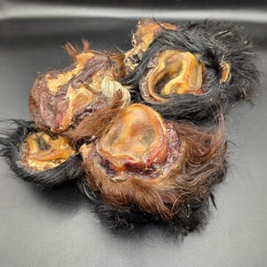 May include: A close-up of several dried animal ears with fur. The ears are a mix of brown, black, and tan colors. The inner ear is a light tan color. The fur around the ears is a mix of black and brown.