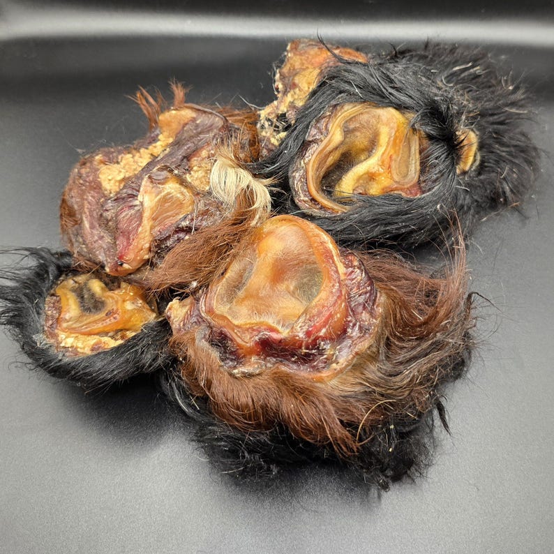 May include: A close-up of several dried animal ears with fur. The ears are a mix of brown, black, and tan colors. The inner ear is a light tan color. The fur around the ears is a mix of black and brown.