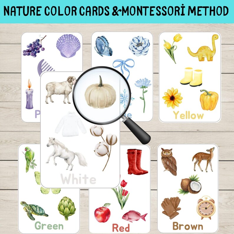 Montessori Nature Color Flashcards for Toddlers | Printable Preschool ...
