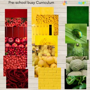 Pode incluir: Um gráfico visual para crianças pré-escolares que apresenta diferentes cores e objetos. As cores são vermelho, amarelo e verde. Os objetos incluem maçãs, cerejas, fio, patos, armários, limões, um besouro, um papagaio, couve e um camaleão.