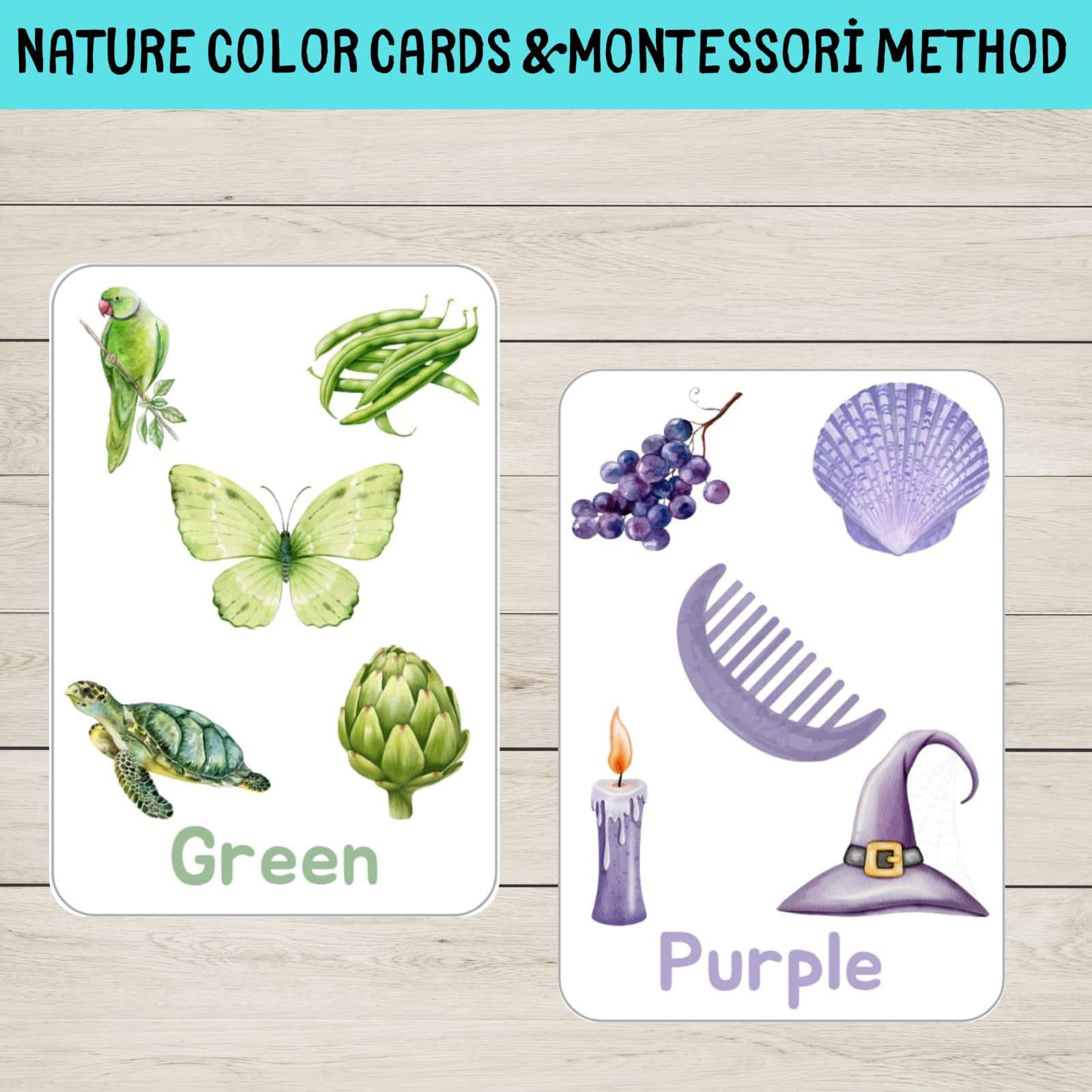 Montessori Nature Color Flashcards for Toddlers | Printable Preschool ...