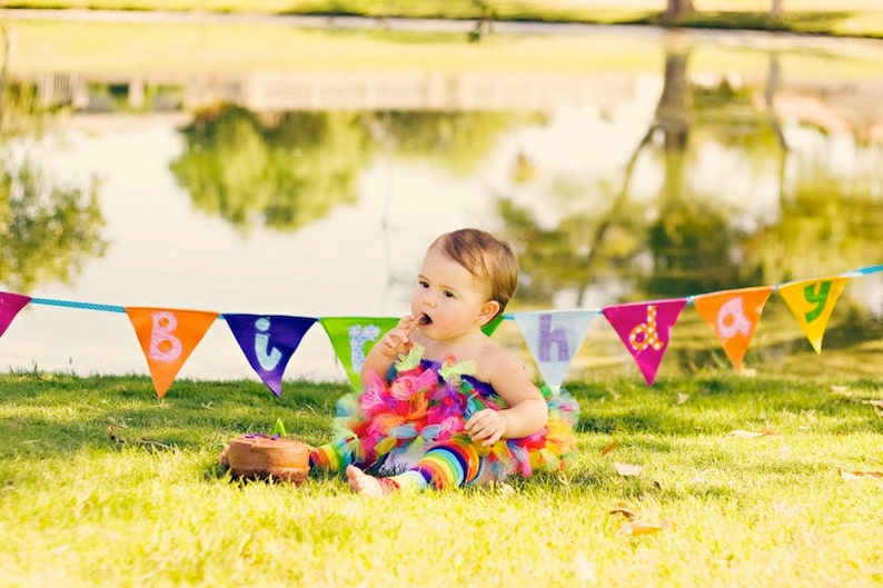 Custom felt and fabric Happy Birthday Pennant Banner image 2