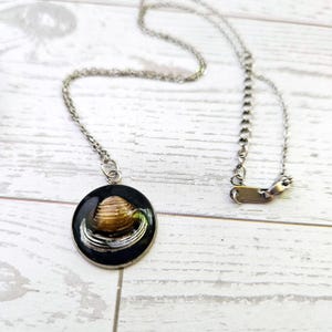 Real River Clam Shell Necklace – Handmade Coastal Pendant with Silver Tip – One of a Kind