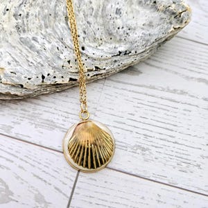 Scallop Shell Necklace : Real Shell Pendant in Gold for Ocean Lovers
