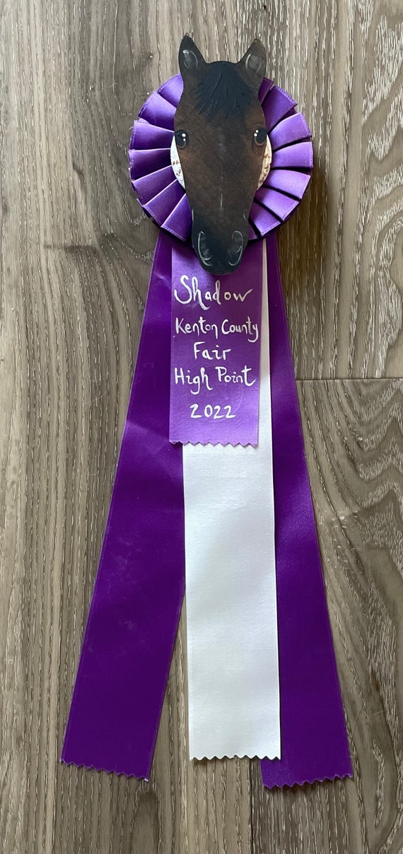 ★keike★ Shape of Perth Purple Ribbon Painted Flanks Rosette Ribbon Selfie Horse Awards Horse Art