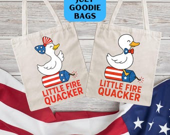 Matching 4th PNG, Boy Girl 4th July PNG, Brother Sister 4th PNG, Duck Png Little Fire Cracker Quacker Sibling png, Patriotic Goodie Bag Png