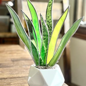 May include: A stained glass snake plant in a white geometric pot. The plant features shades of green and yellow, with a silver outline. The pot is a modern design, adding a touch of elegance to the decor.