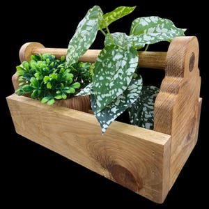 Puede incluir: Una jardinera de madera con asa, que se asemeja a una caja de herramientas, está llena de dos plantas en maceta. Una planta tiene hojas verdes, mientras que la otra tiene hojas variegadas con manchas blancas.