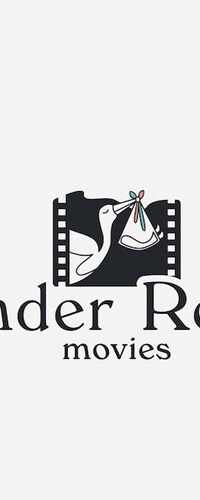 Winnie the Pooh (Non-Custom) Gender Reveal Video | IT'S A Boy| Digital gender announcement movie Baby Shower | Gender Reveal Ideas